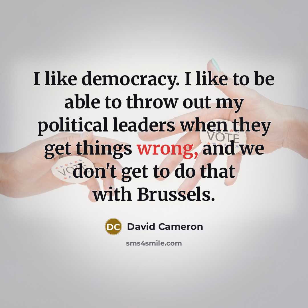 “I like democracy. I like to be able to throw…” quote by David Cameron