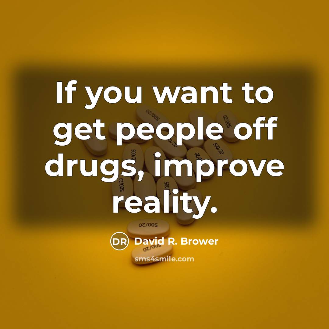 “If you want to get people off drugs, improve reality.…” quote by David R. Brower