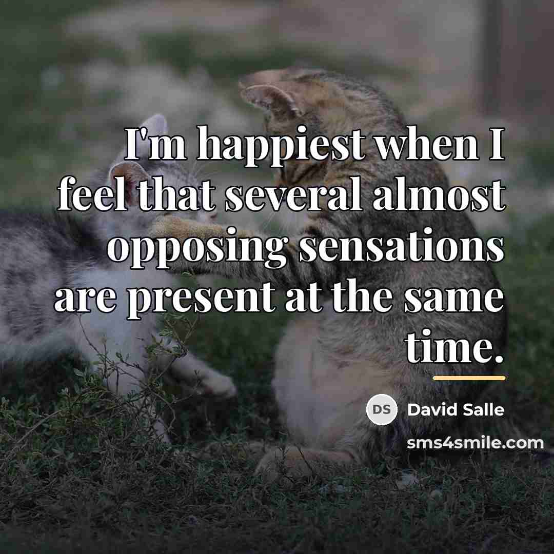 “I'm happiest when I feel that several almost opposing sensations…” quote by David Salle
