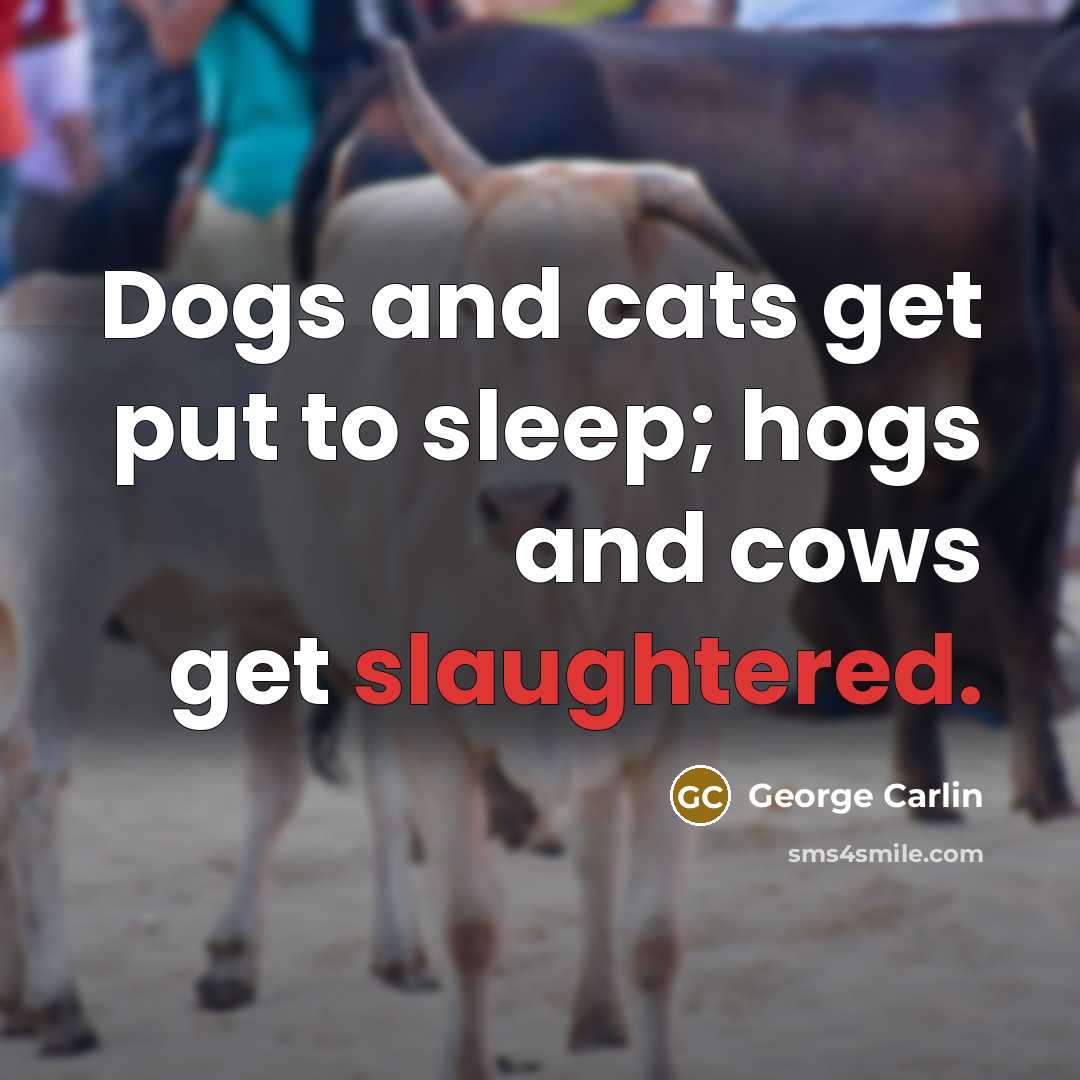 “Dogs and cats get put to sleep; hogs and cows get slaughtered.” quote by George Carlin