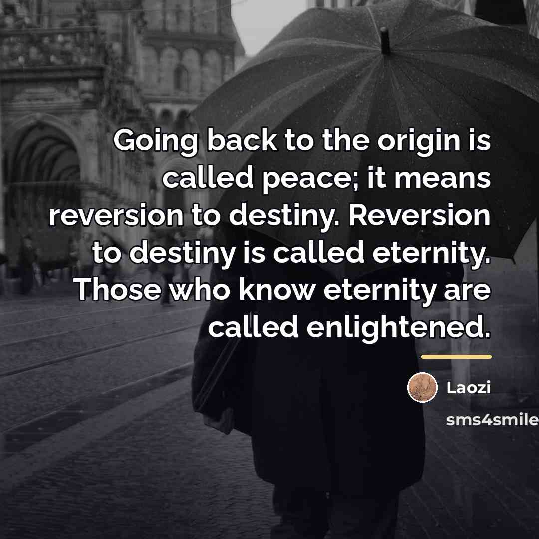 “Going back to the origin is called peace; it means…” quote by Laozi