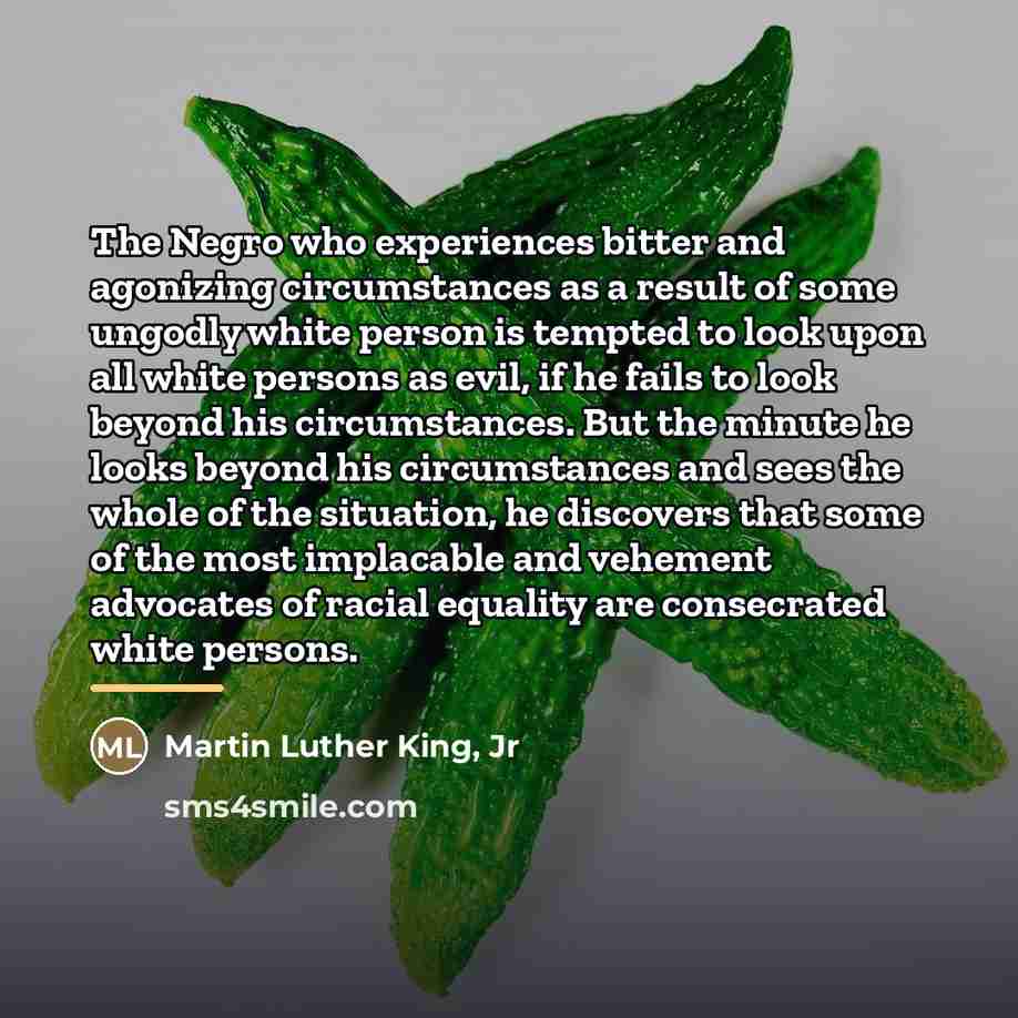 “The Negro who experiences bitter and agonizing circumstances as a…” quote by Martin Luther King, Jr