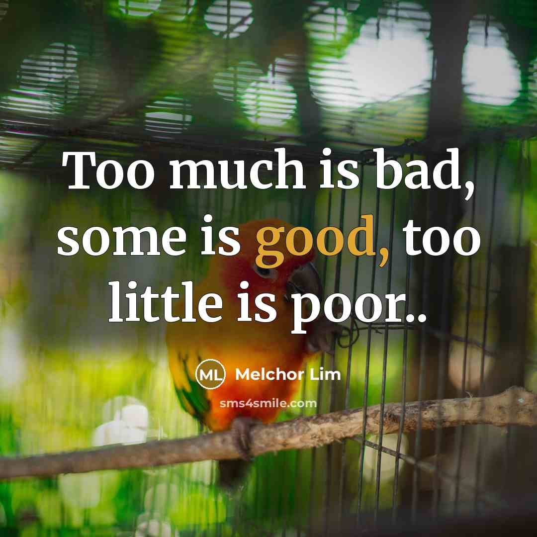 “Too much is bad, some is good, too little is…” quote by Melchor Lim