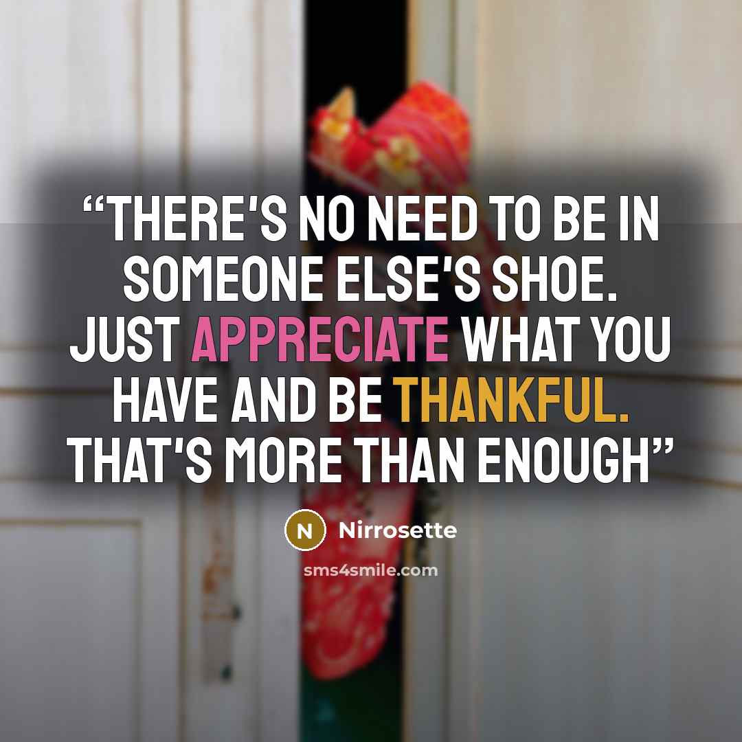 “There's no need to be in someone else's shoe. Just appreciate what you have and be thankful. That's more than enough” quote by Nirrosette