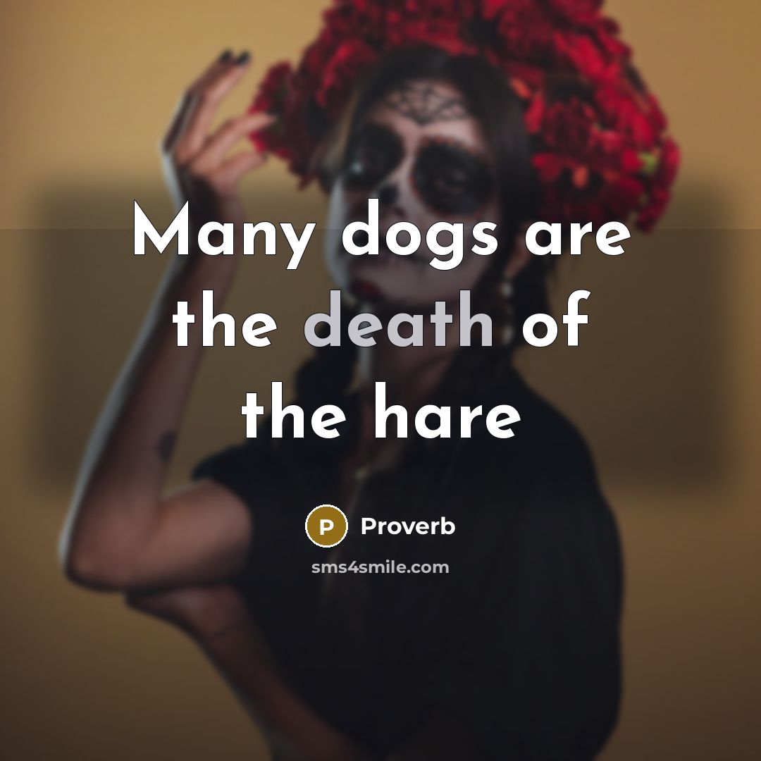 “Many dogs are the death of the hare…” quote by Proverb