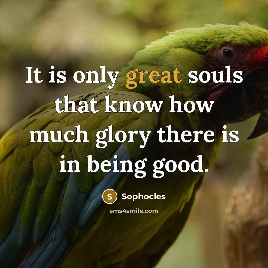 “It is only great souls that know how much glory…” quote by Sophocles