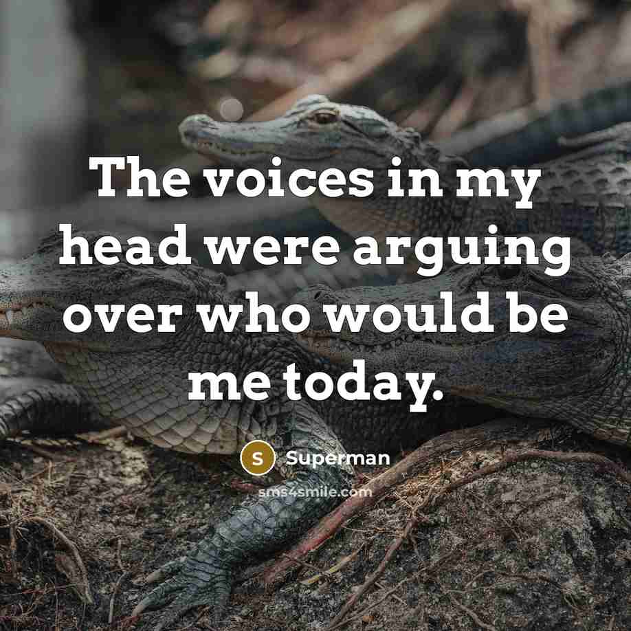“The voices in my head were arguing over who would…” quote by Superman