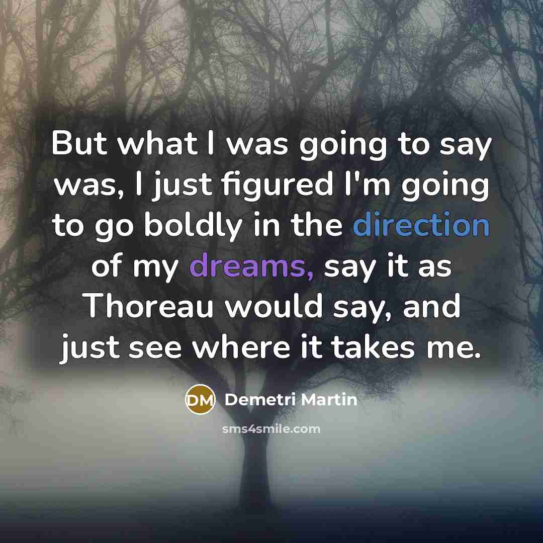 “But what I was going to say was, I just…” quote by Demetri Martin