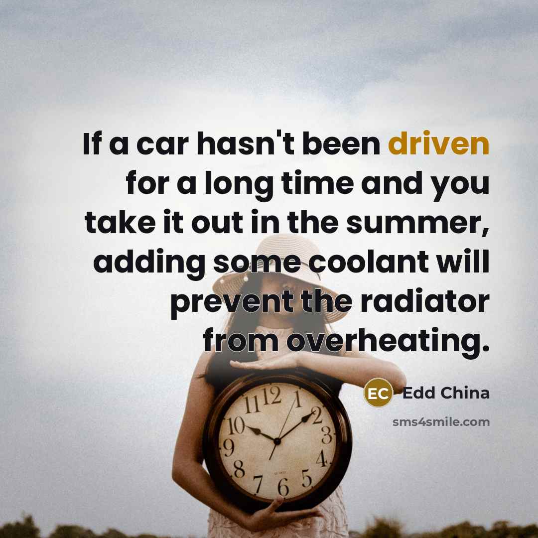 “If a car hasn't been driven for a long time…” quote by Edd China