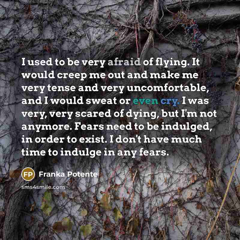 “I used to be very afraid of flying. It would…” quote by Franka Potente