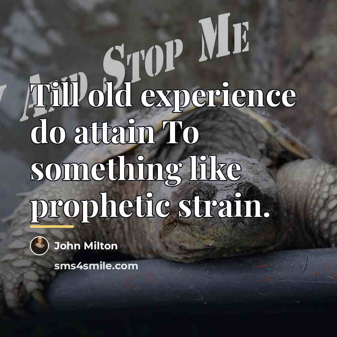 “Till old experience do attain To something like prophetic strain.…” quote by John Milton