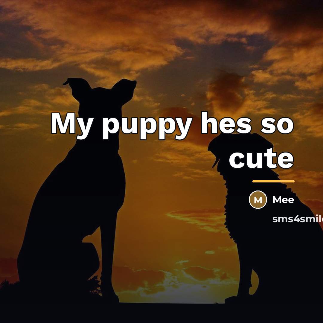 “My puppy hes so cute…” quote by Mee