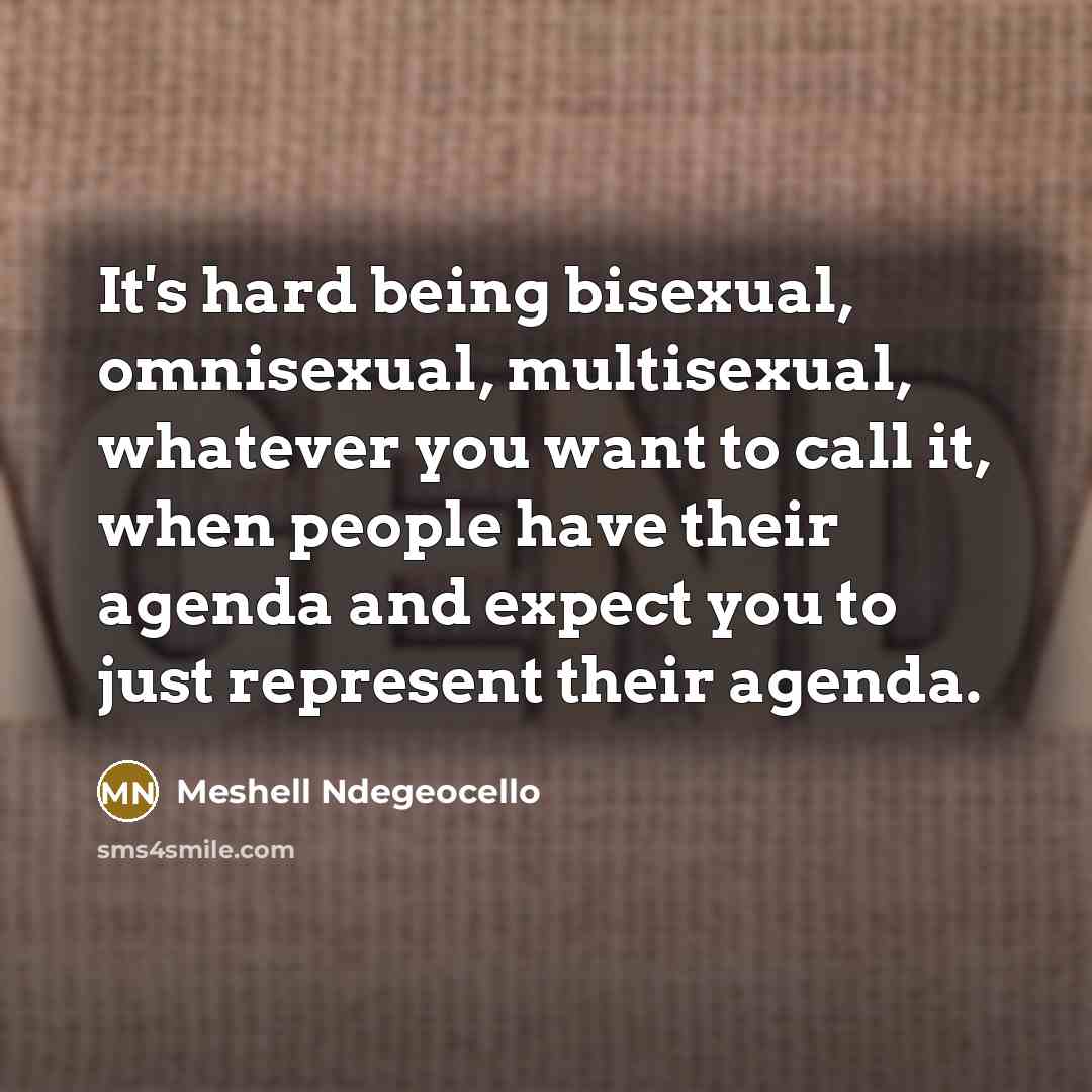 “It's hard being bisexual, omnisexual, multisexual, whatever you want to…” quote by Meshell Ndegeocello