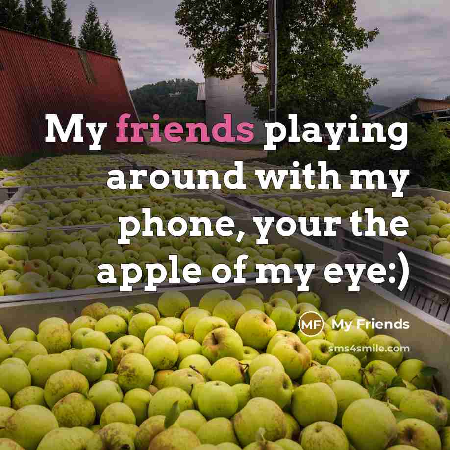 “My friends playing around with my phone, your the apple of my eye:)” quote by My Friends