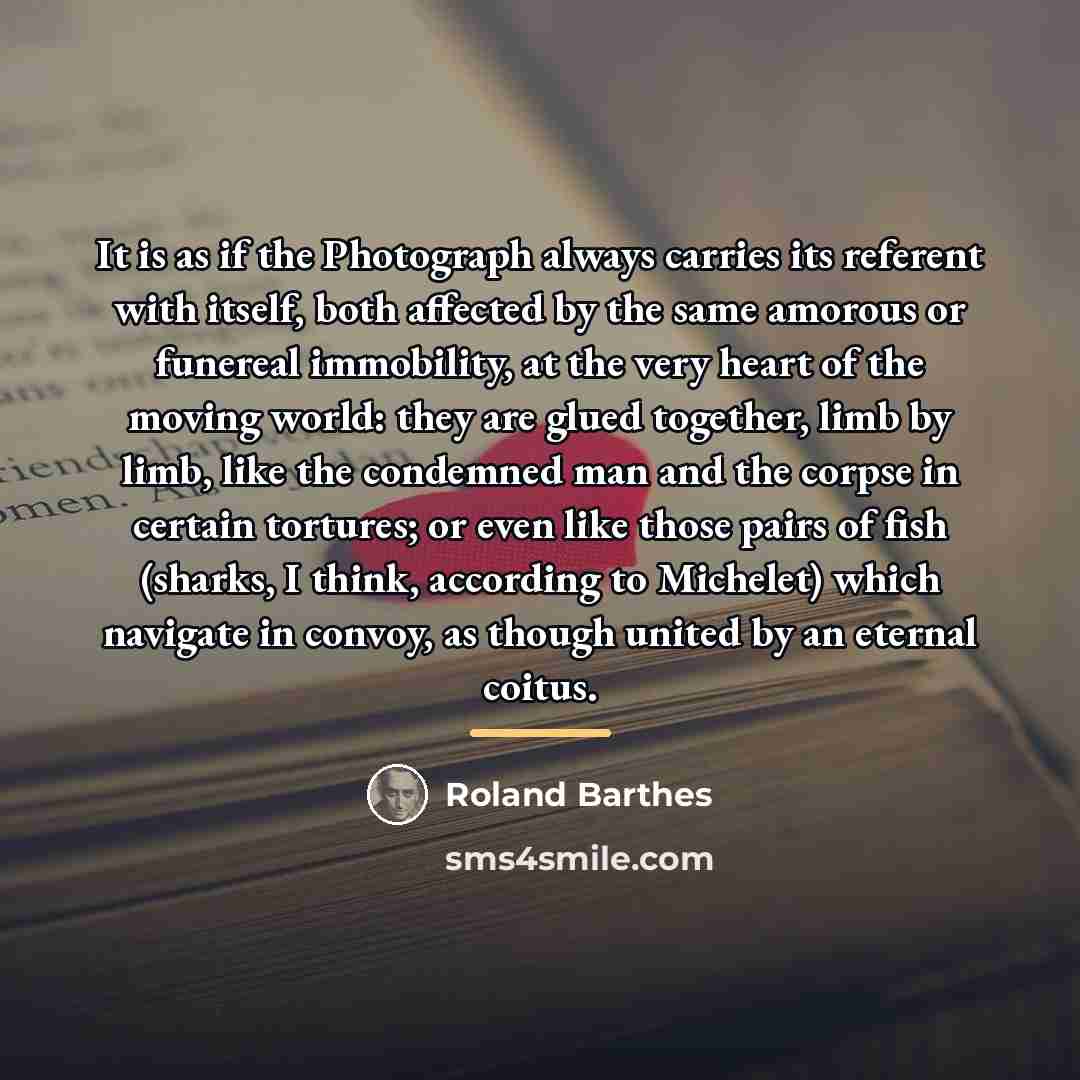 “It is as if the Photograph always carries its referent…” quote by Roland Barthes