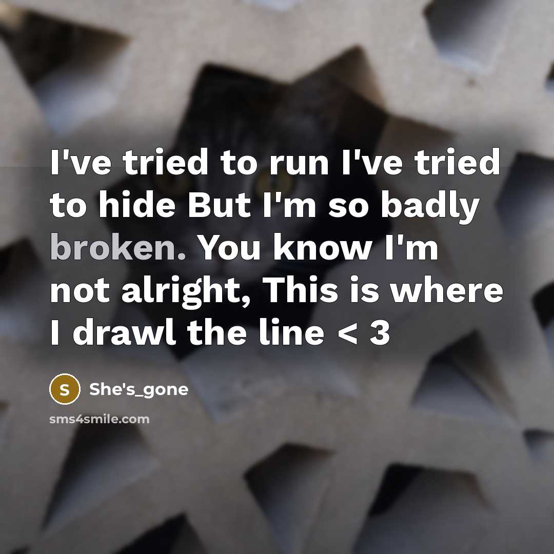 “I've tried to run I've tried to hide But I'm so badly broken. You know I'm not alright, This is where I drawl the line < 3” quote by She's_gone