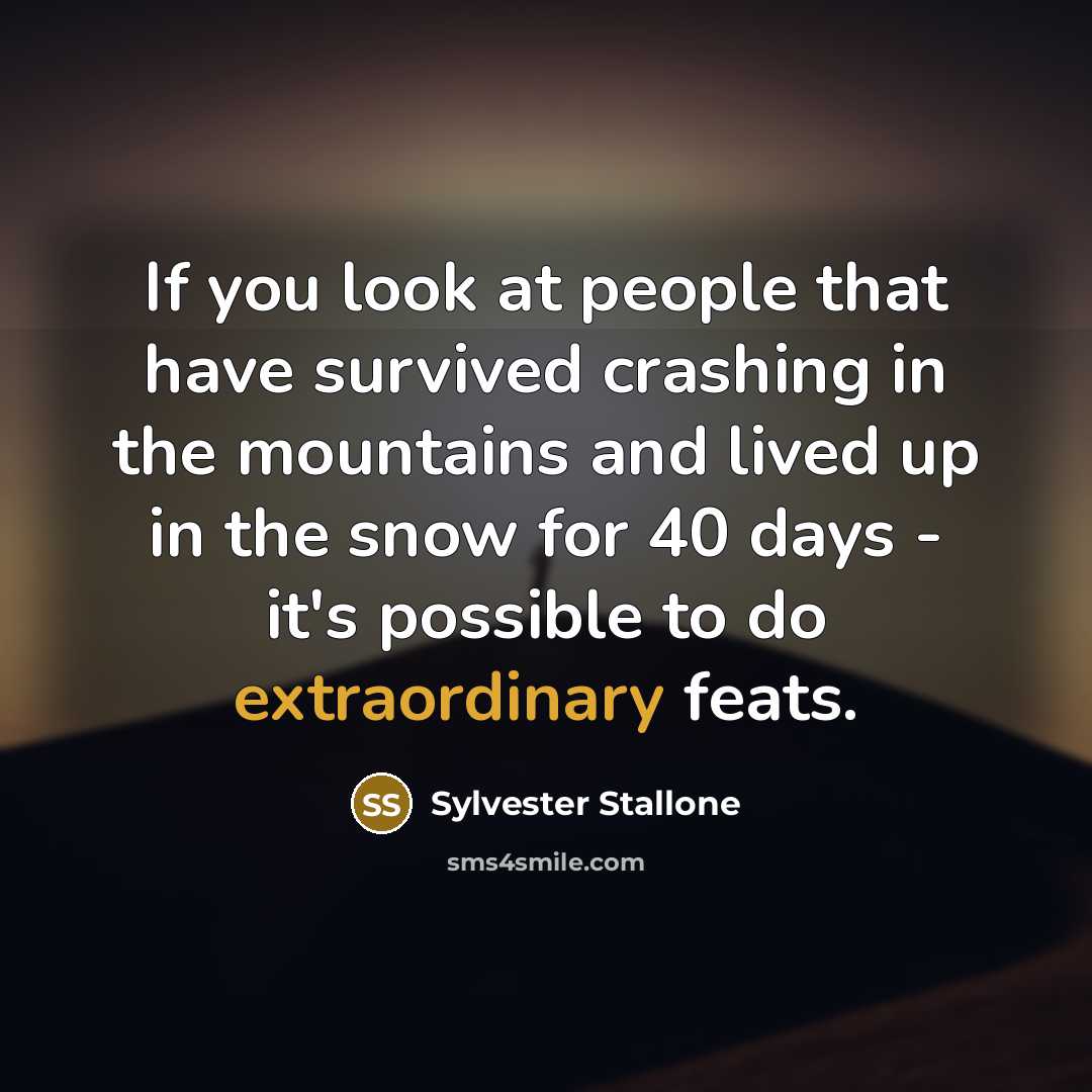 “If you look at people that have survived crashing in…” quote by Sylvester Stallone