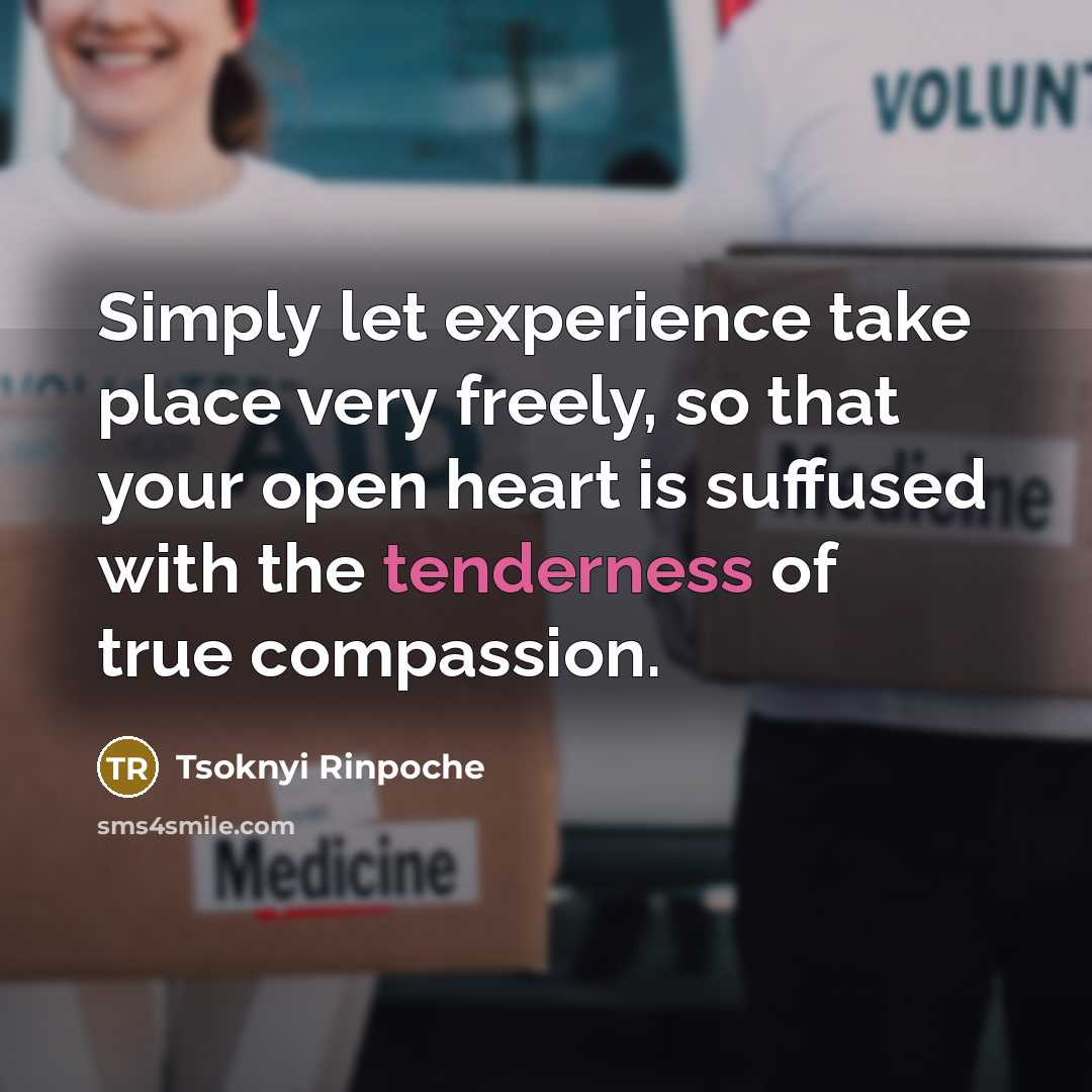 “Simply let experience take place very freely, so that your…” quote by Tsoknyi Rinpoche