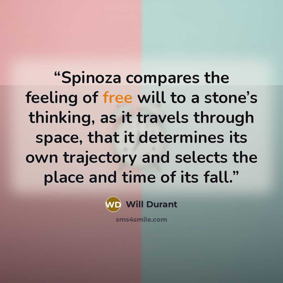 “Spinoza compares the feeling of free will to a stone’s thinking, as it travels through space, that it determines its own trajectory and selects the place and time of its fall.” quote by Will Durant