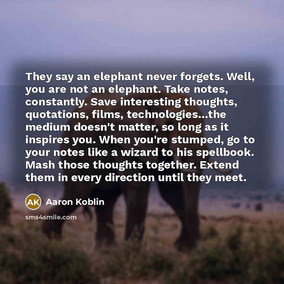 “They say an elephant never forgets. Well, you are not…” quote by Aaron Koblin