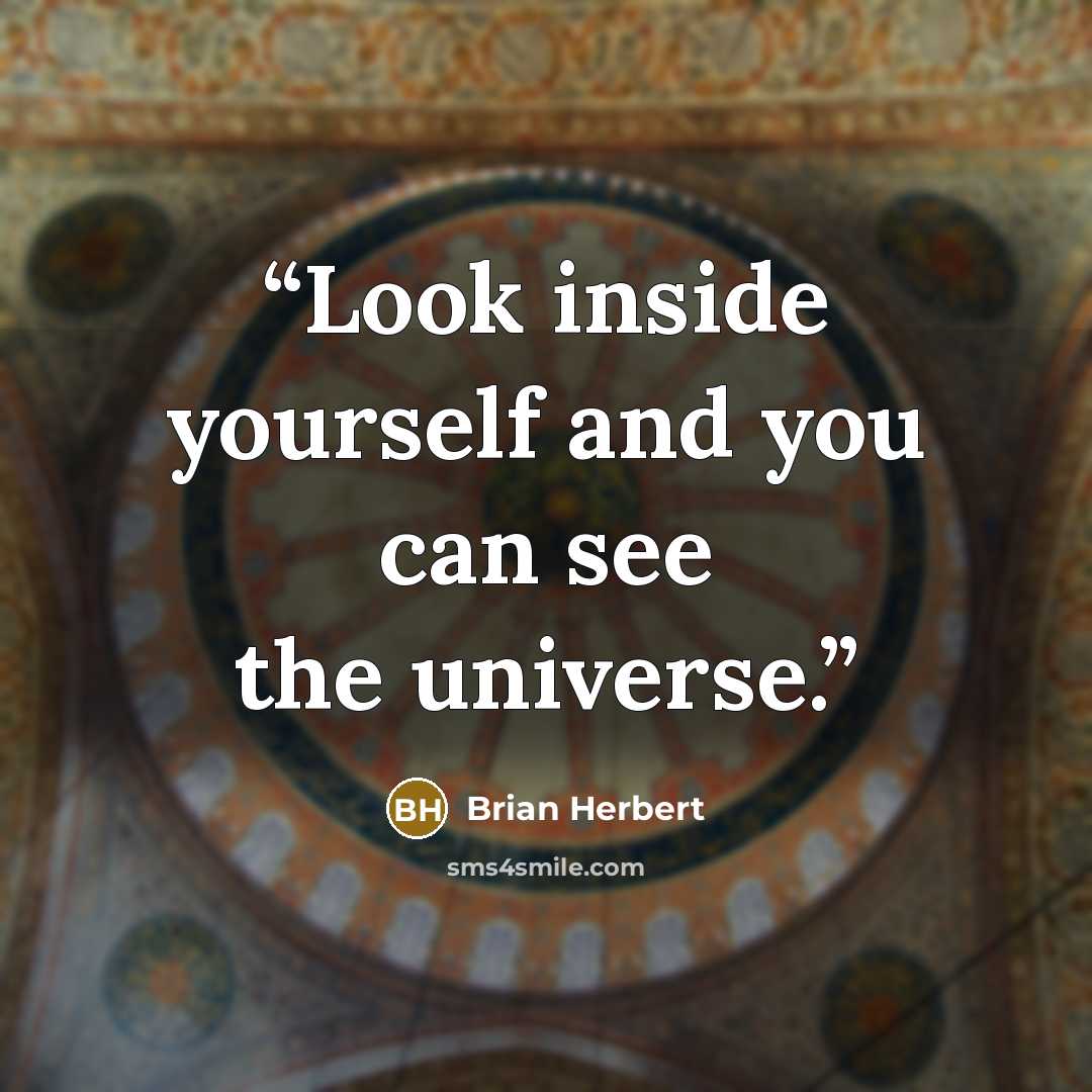 “Look inside yourself and you can see the universe.” quote by Brian Herbert