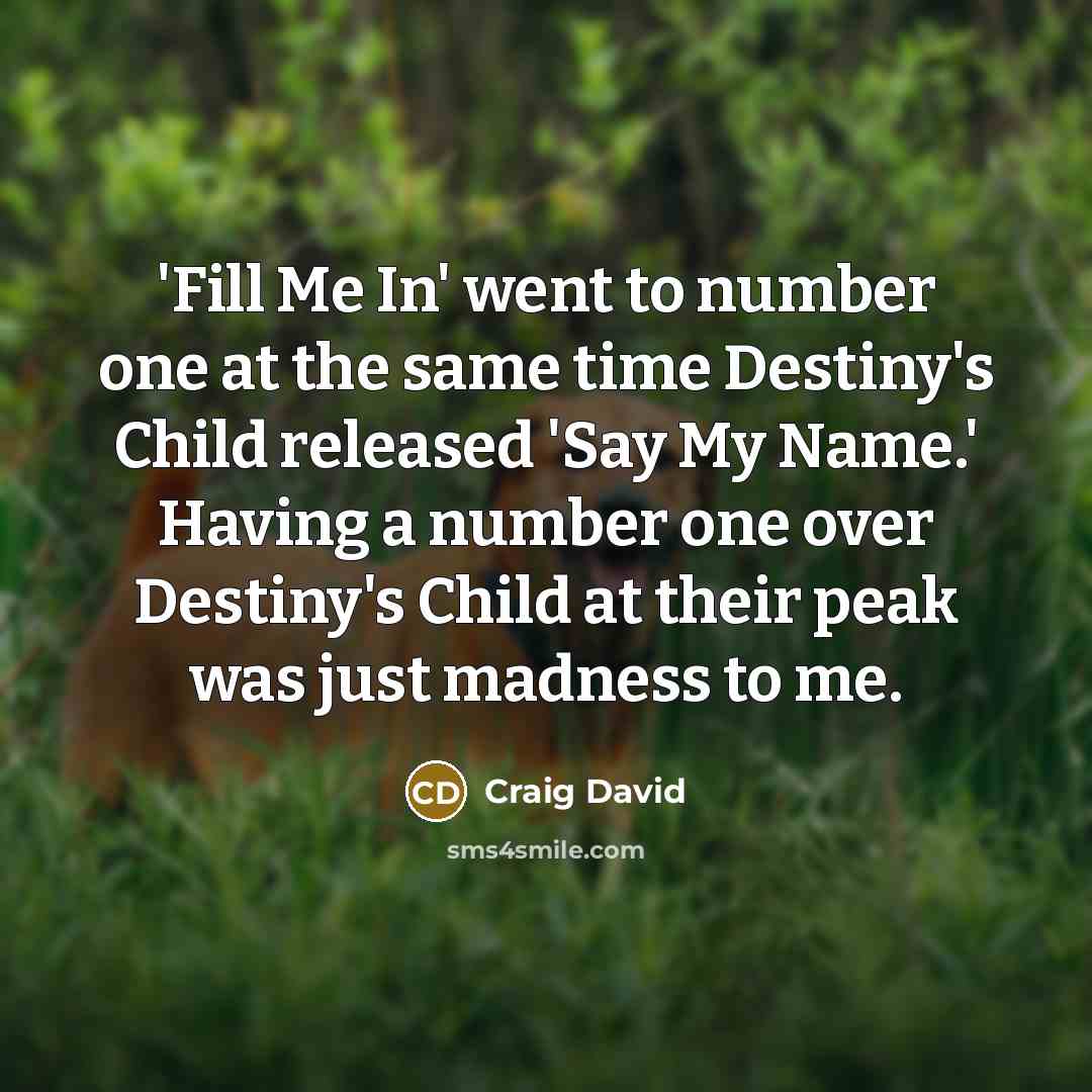 “'Fill Me In' went to number one at the same…” quote by Craig David