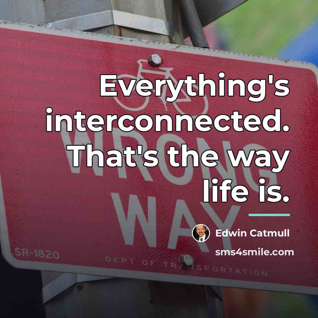 “Everything's interconnected. That's the way life is.…” quote by Edwin Catmull