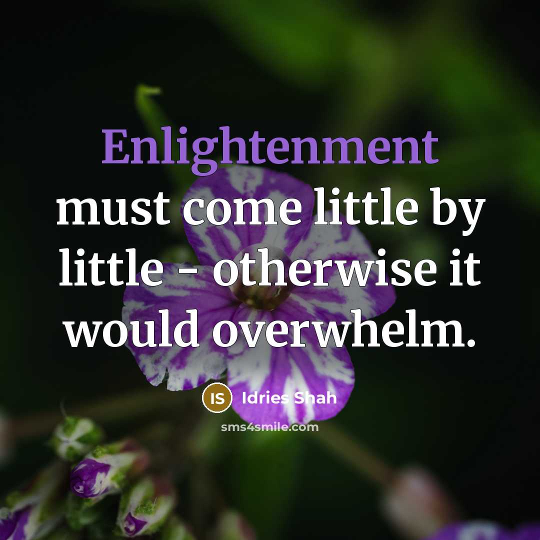 “Enlightenment must come little by little - otherwise it would…” quote by Idries Shah