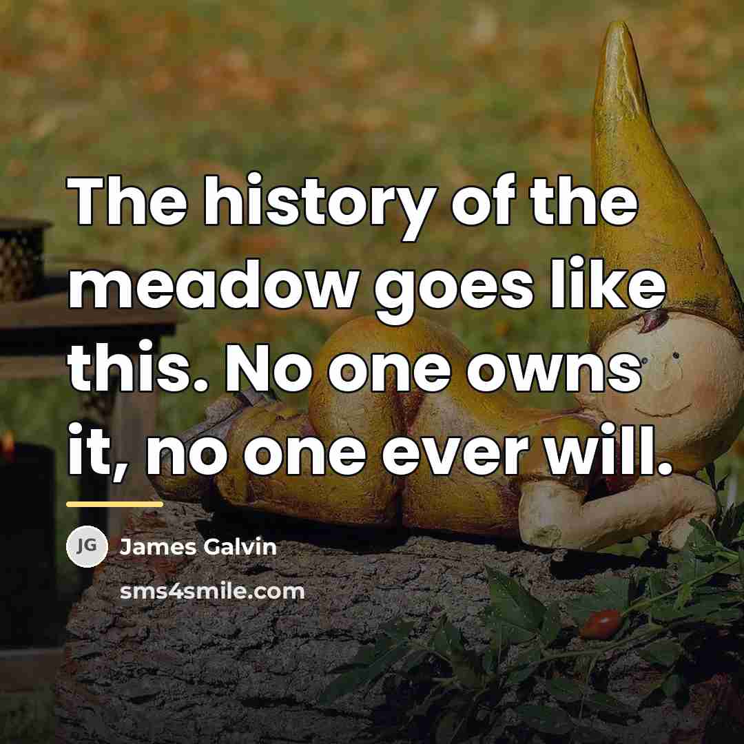 “The history of the meadow goes like this. No one…” quote by James Galvin