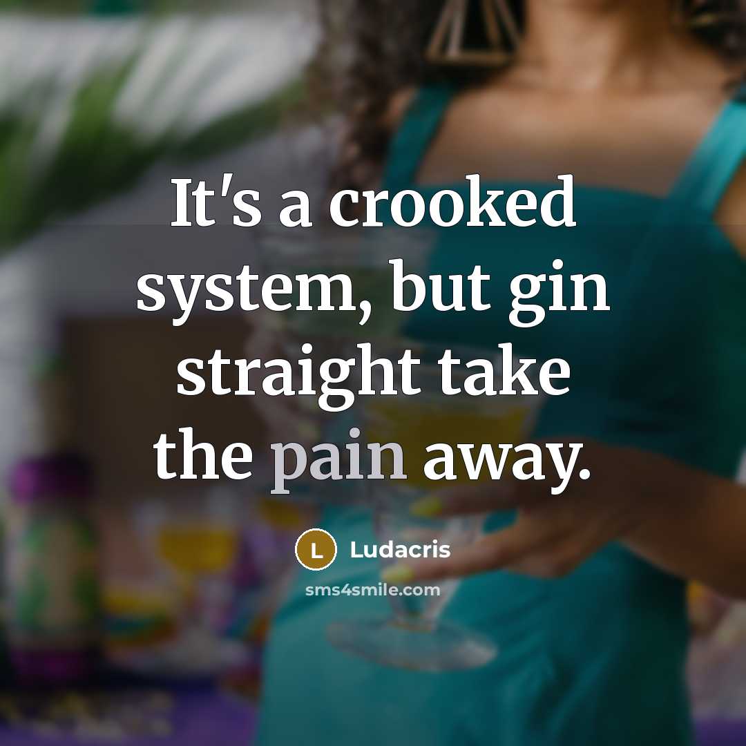 “It's a crooked system, but gin straight take the pain…” quote by Ludacris