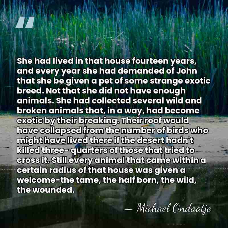 She had lived in that house fourteen years, and every year she&hellip; - Michael Ondaatje