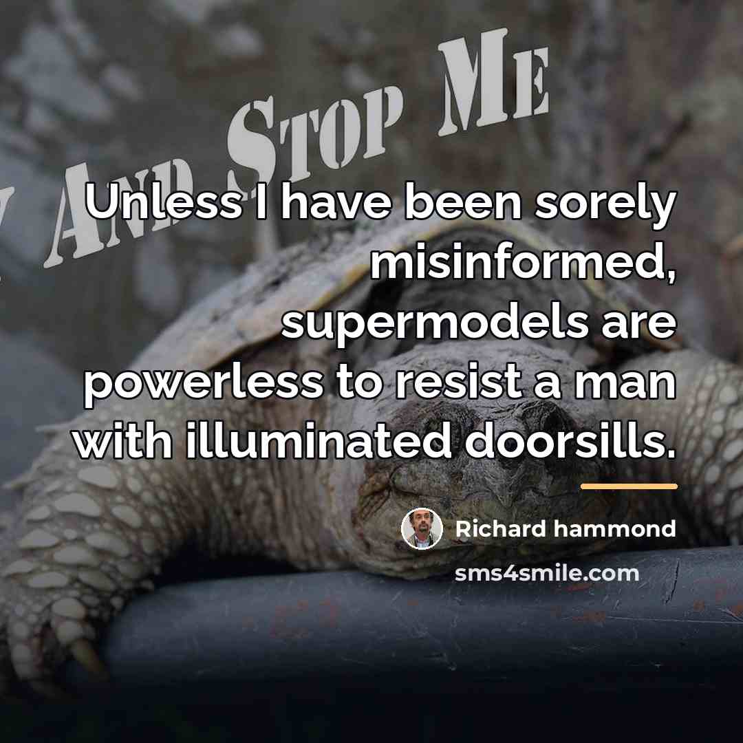 “Unless I have been sorely misinformed, supermodels are powerless to…” quote by Richard Hammond
