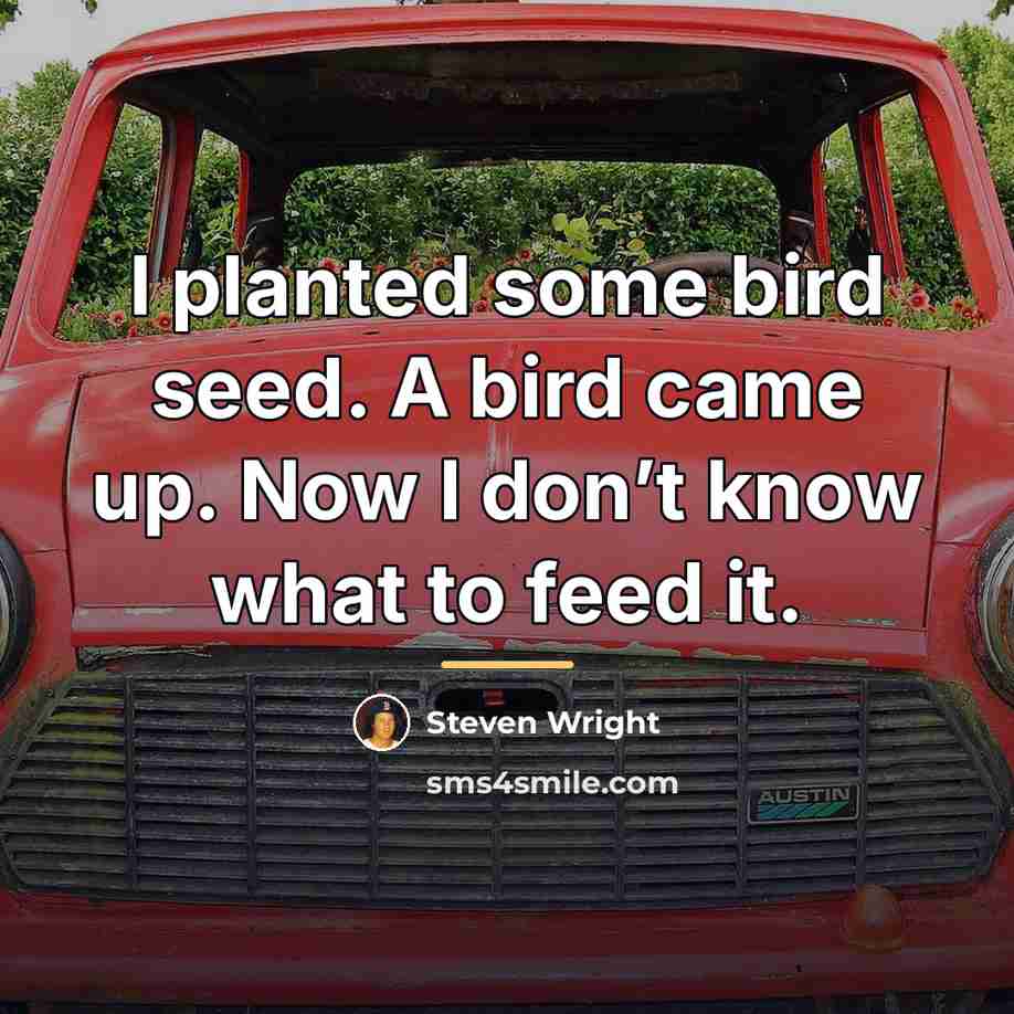 “I planted some bird seed. A bird came up. Now…” quote by Steven Wright