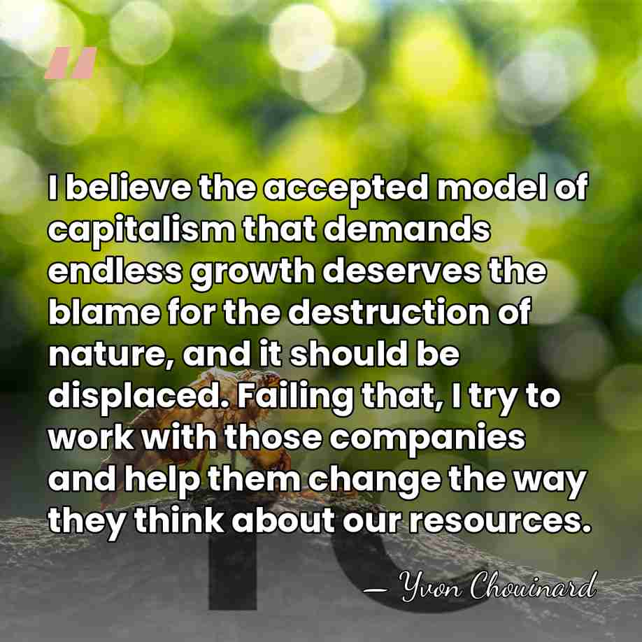 I believe the accepted model of capitalism that demands endless growth deserves&hellip; - Yvon Chouinard