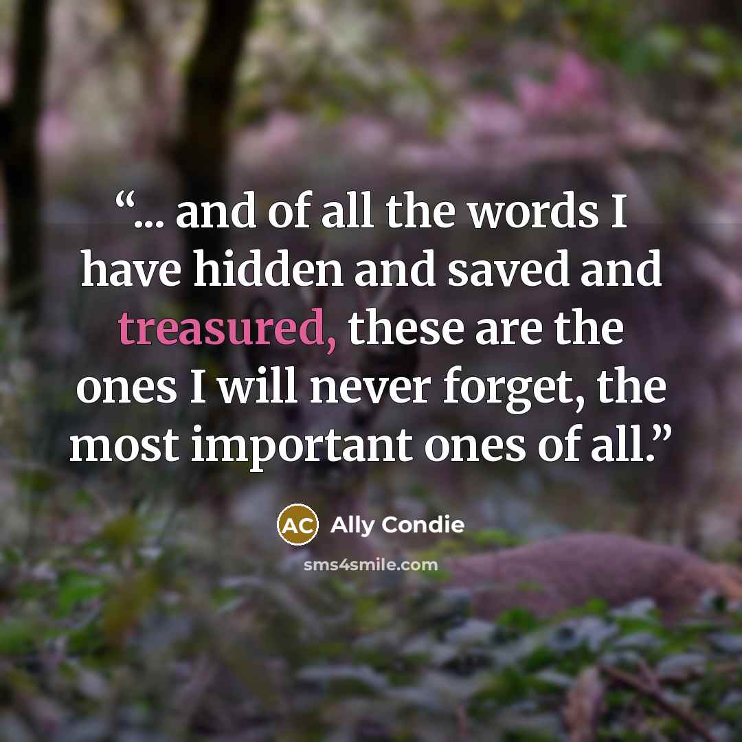 “... and of all the words I have hidden and saved and treasured, these are the ones I will never forget, the most important ones of all.” quote by Ally Condie