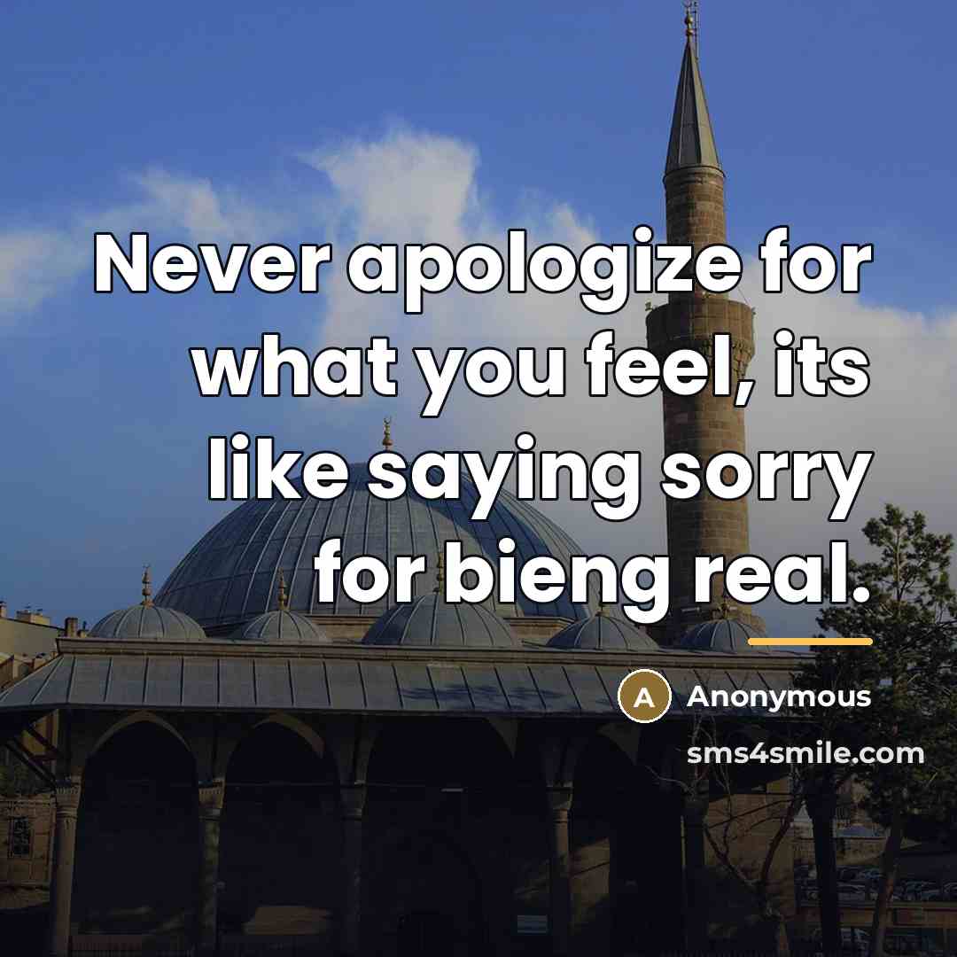 “Never apologize for what you feel, its like saying sorry…” quote by Anonymous