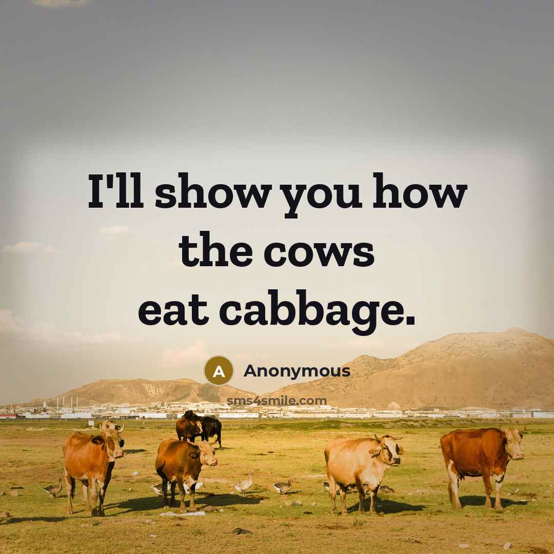 “I'll show you how the cows eat cabbage.…” quote by Anonymous