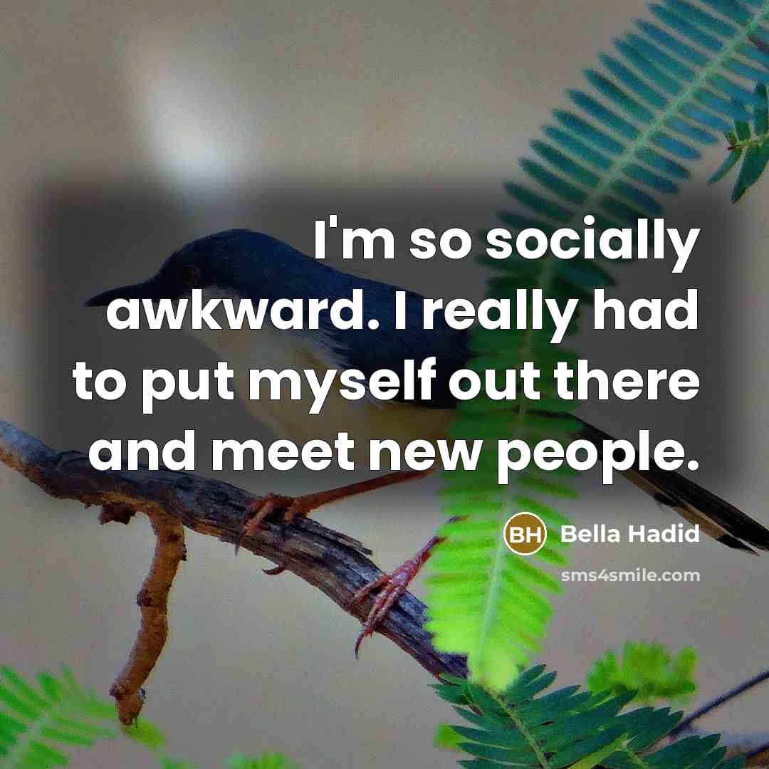 “I'm so socially awkward. I really had to put myself out there and meet new people.” quote by Bella Hadid