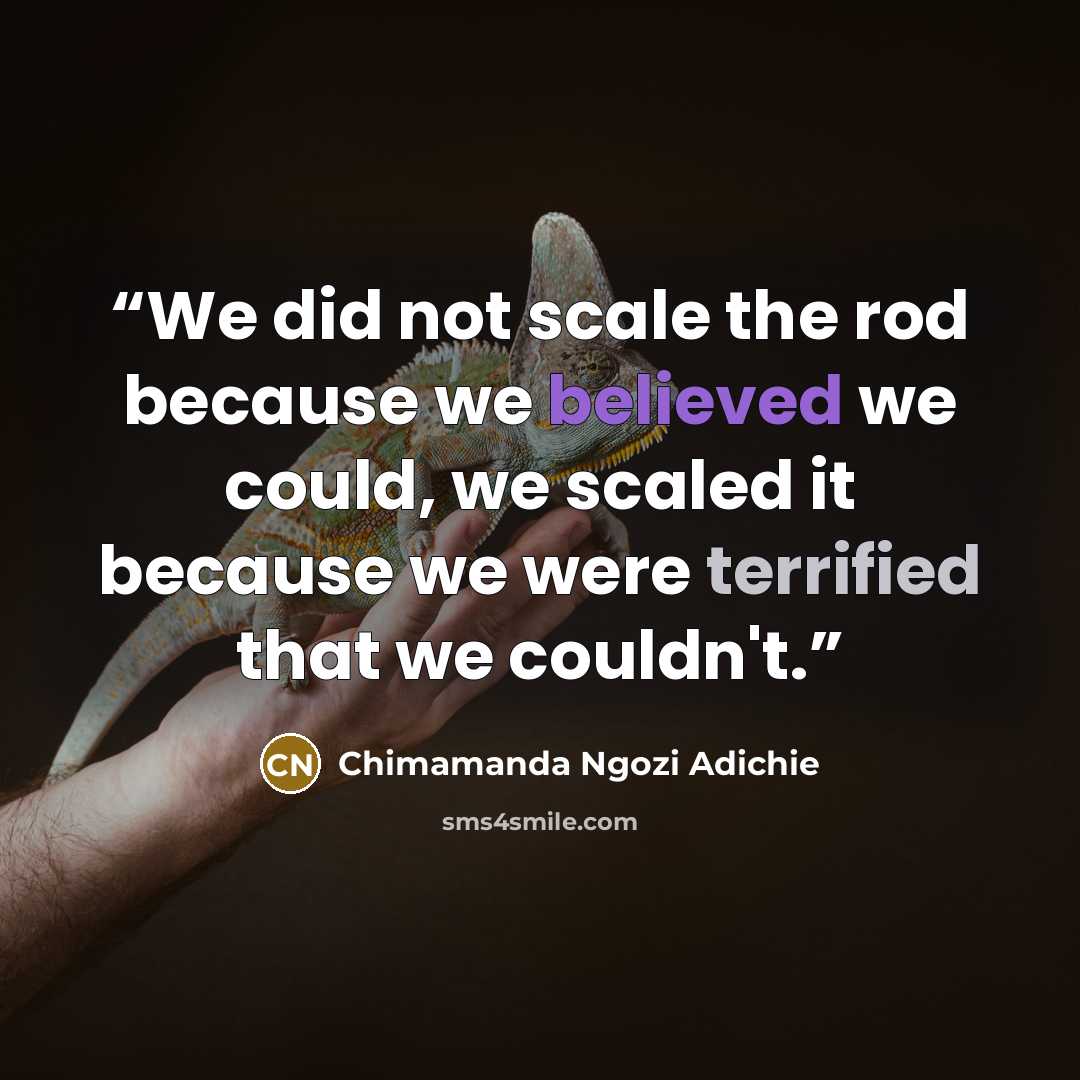 “We did not scale the rod because we believed we could, we scaled it because we were terrified that we couldn't.” quote by Chimamanda Ngozi Adichie