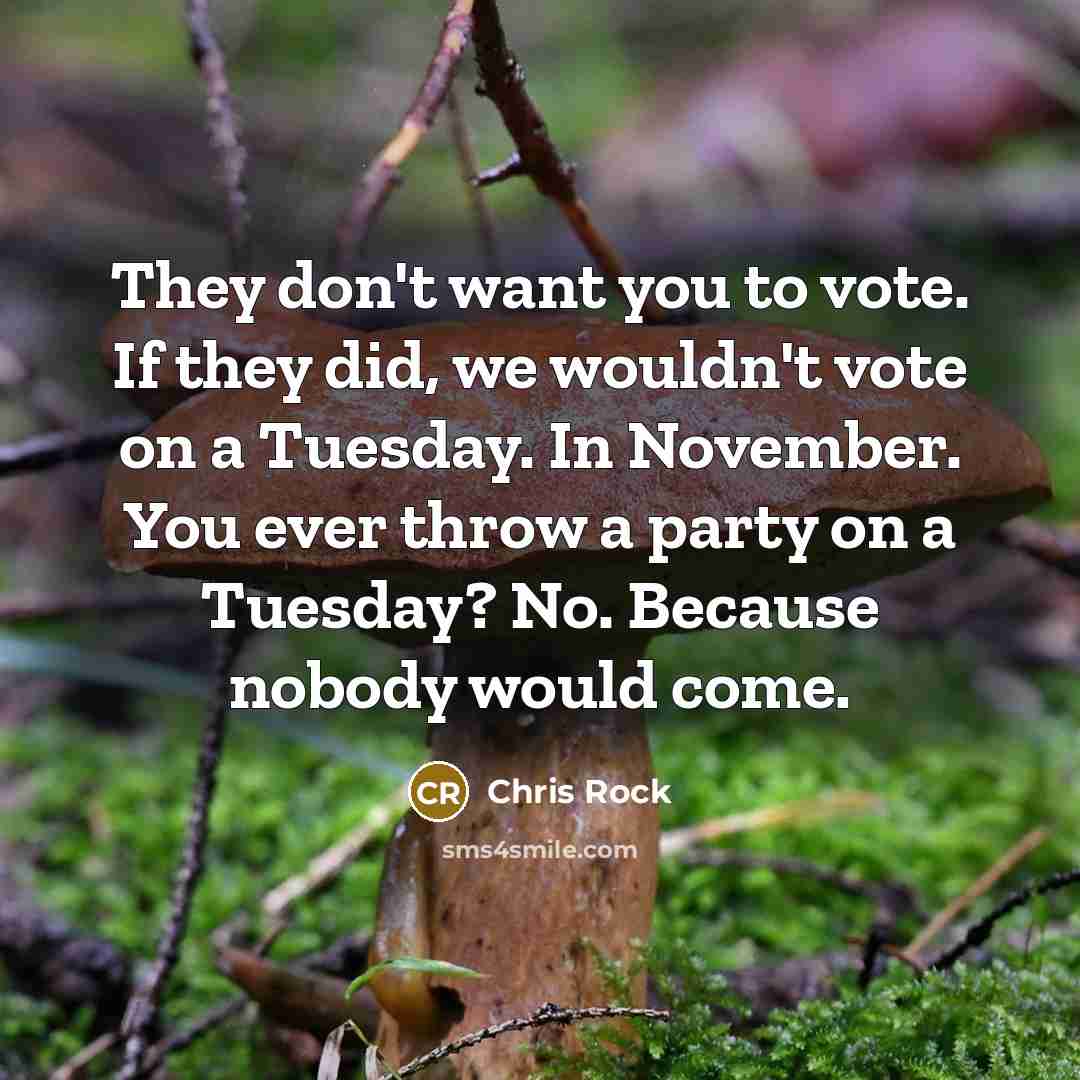 “They don't want you to vote. If they did, we…” quote by Chris Rock