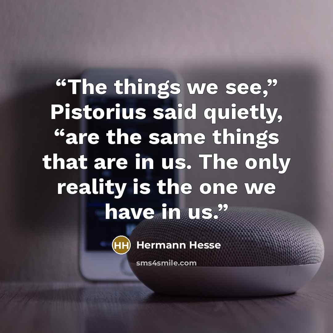 “The things we see,” Pistorius said quietly, “are the same things that are in us. The only reality is the one we have in us.” quote by Hermann Hesse