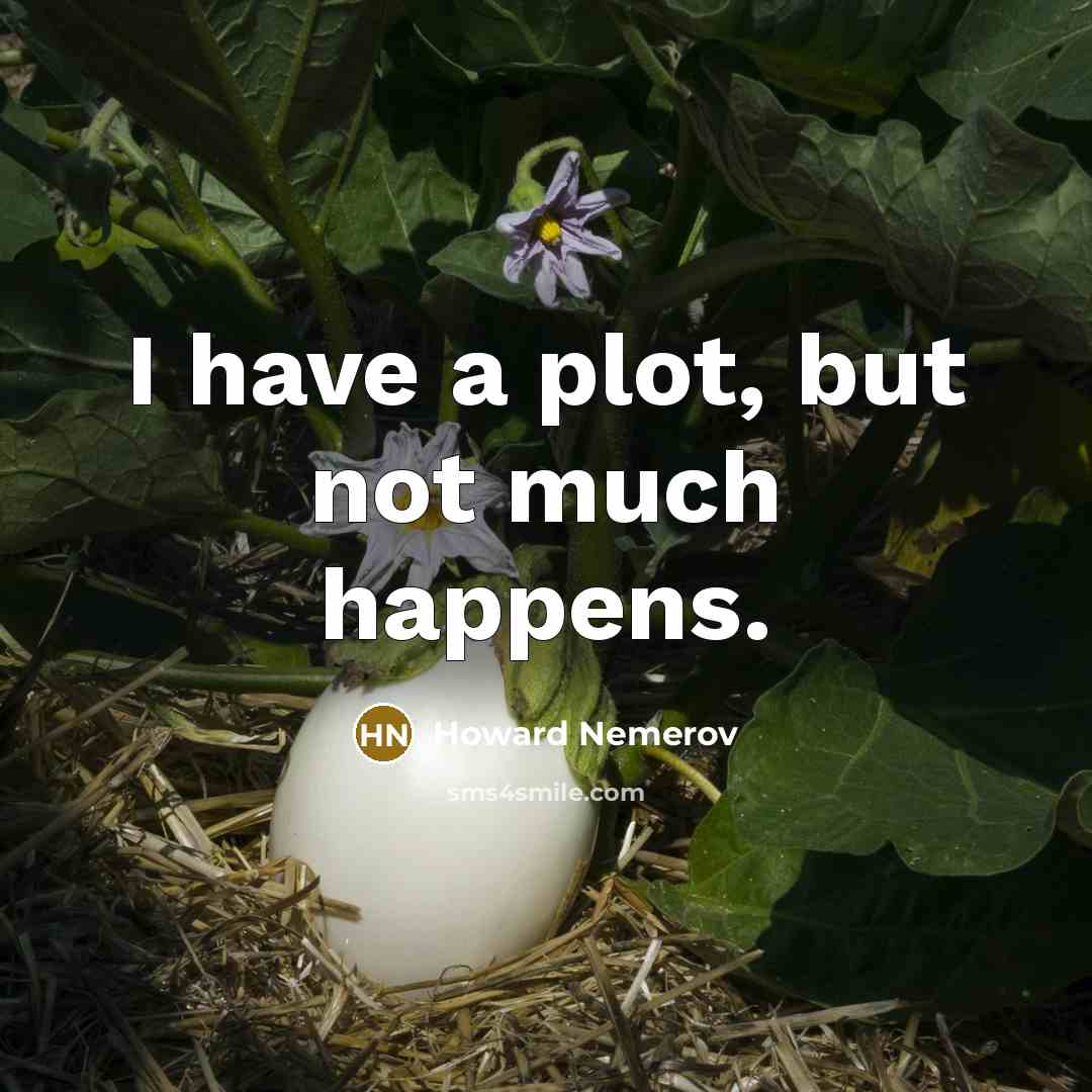 “I have a plot, but not much happens.…” quote by Howard Nemerov
