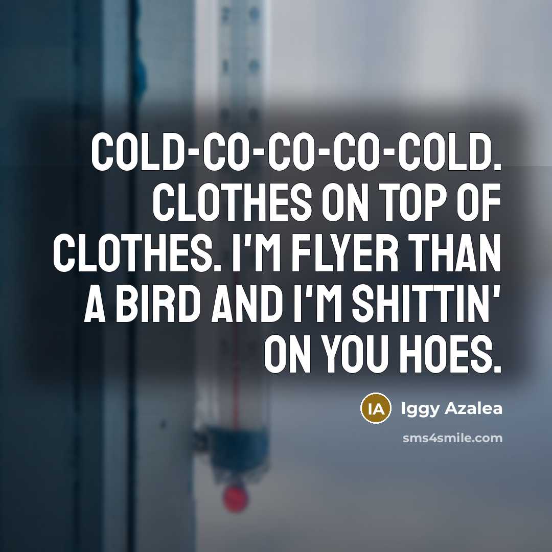 “Cold-co-co-co-cold. Clothes on top of clothes. I'm flyer than a bird and I'm shittin' on you hoes.” quote by Iggy Azalea