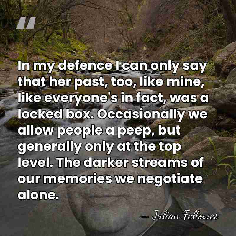 In my defence I can only say that her past, too, like&hellip; - Julian Fellowes