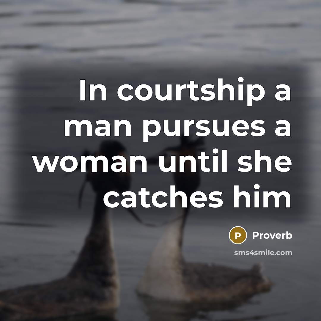 “In courtship a man pursues a woman until she catches him” quote by Proverb