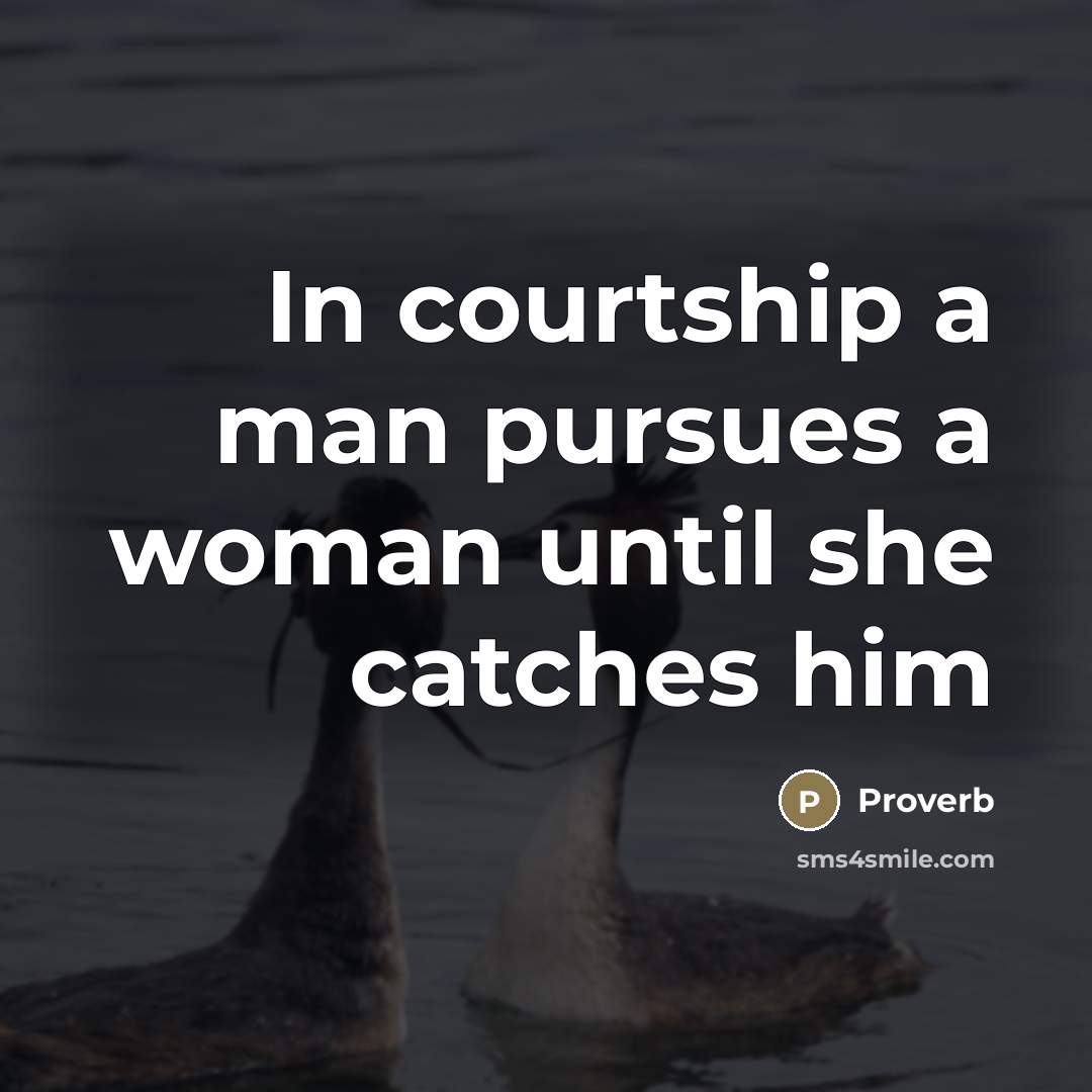 “In courtship a man pursues a woman until she catches…” quote by Proverb