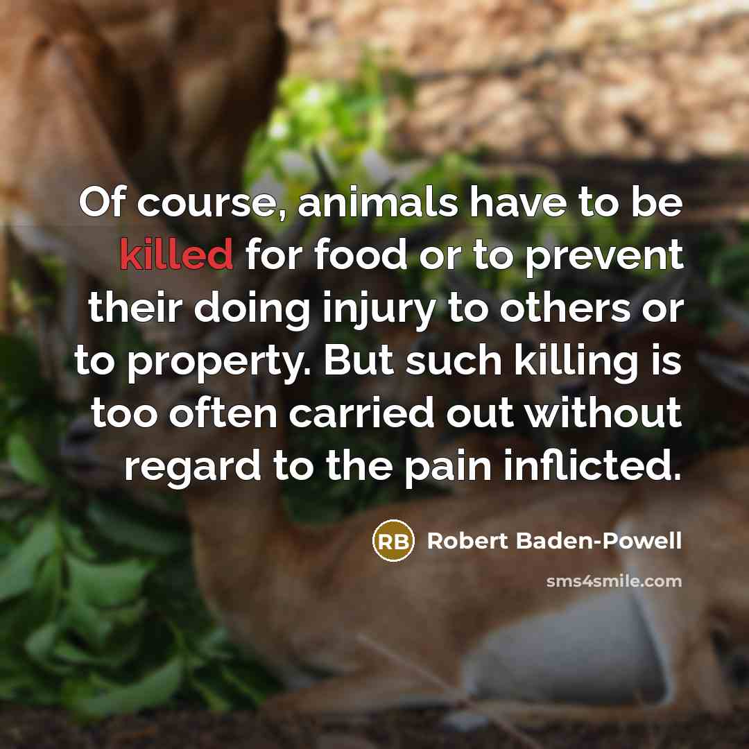“Of course, animals have to be killed for food or…” quote by Robert Baden-Powell