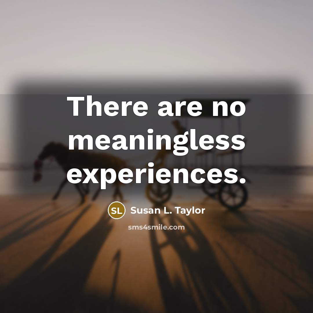 “There are no meaningless experiences.…” quote by Susan L. Taylor
