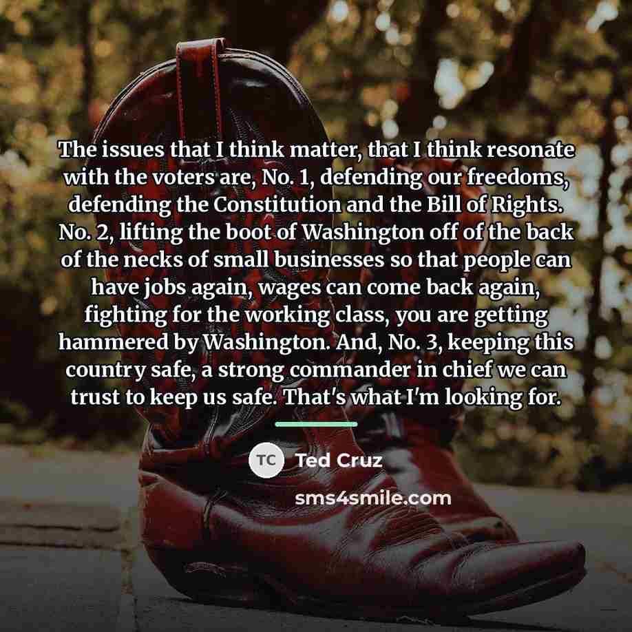 “The issues that I think matter, that I think resonate…” quote by Ted Cruz