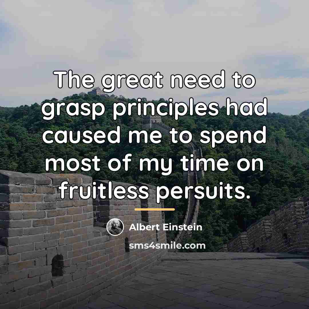 “The great need to grasp principles had caused me to…” quote by Albert Einstein